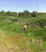 Confluence delineated wetlands on this 16.75-acre site.