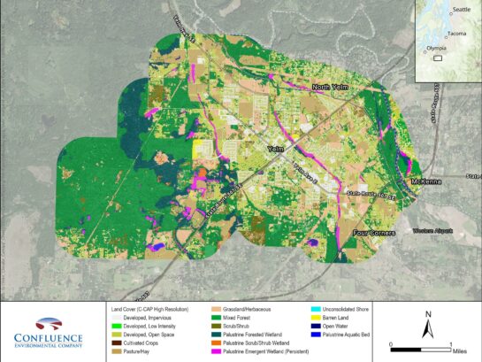 Multi-colored map of Yelm environs shows vegetation and urban areas.